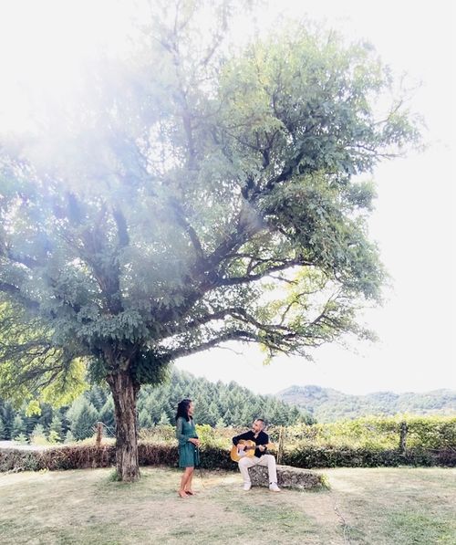 Le duo guitare-voix sous un grand arbre